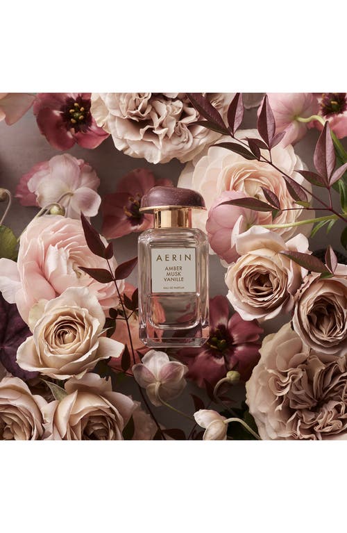 Estée Lauder Aerin Amber Musk Vanille Eau De Parfum Spray In Transparent