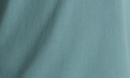 Roark Earth Sea Long Sleeve Cotton Graphic T-shirt In Green