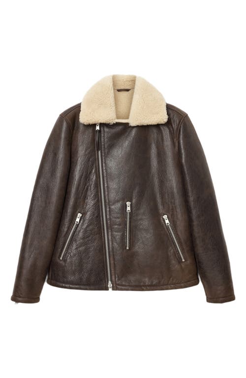 Allsaints Xylon Shearling Lined Leather Biker Jacket In Brown