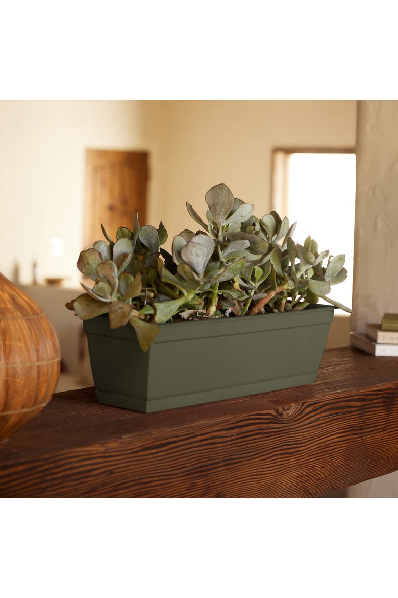 24" Dura Cotta Window Box Planter, Living Green, Alternate, color, Green