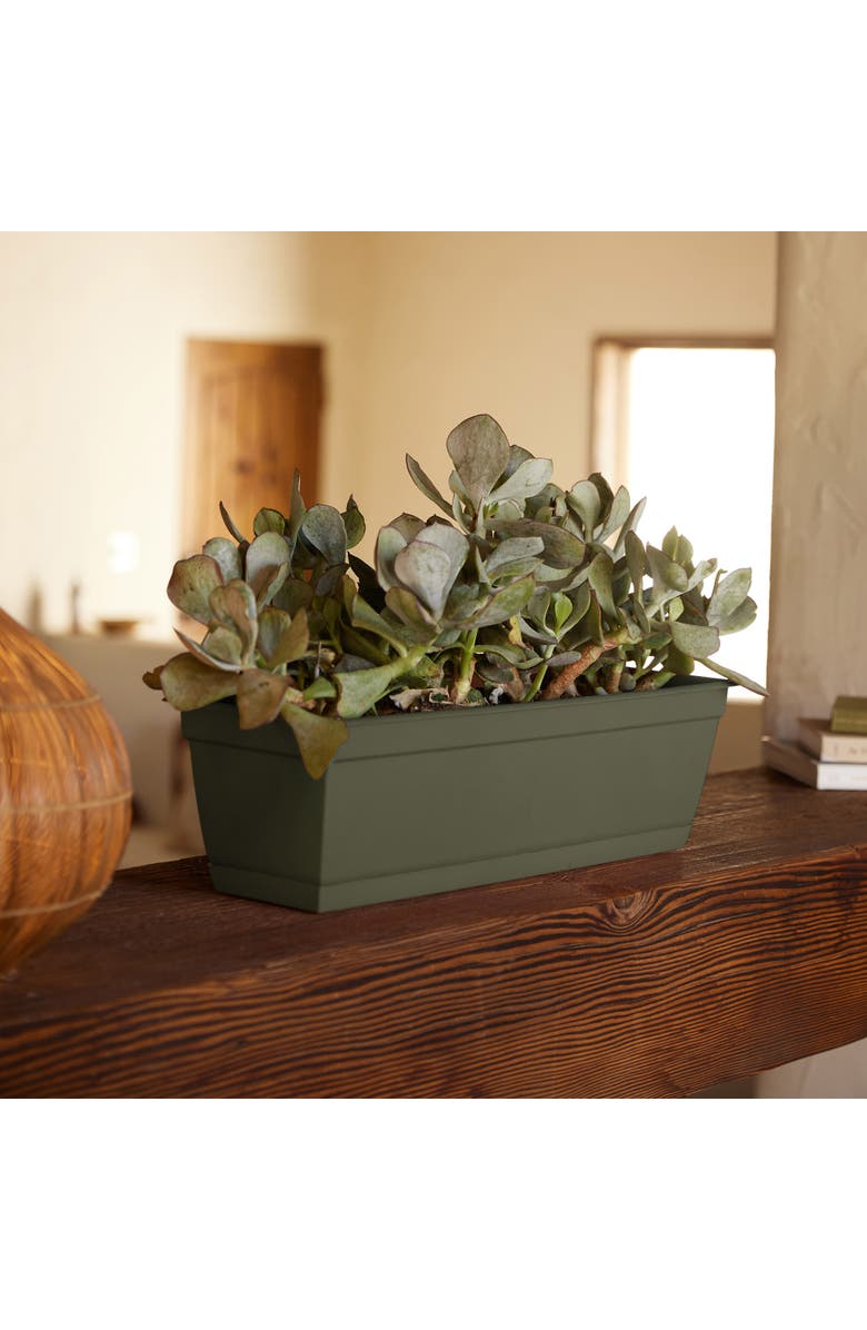 Bloem 24" Dura Cotta Window Box Planter, Living Green, Alternate, color, Green