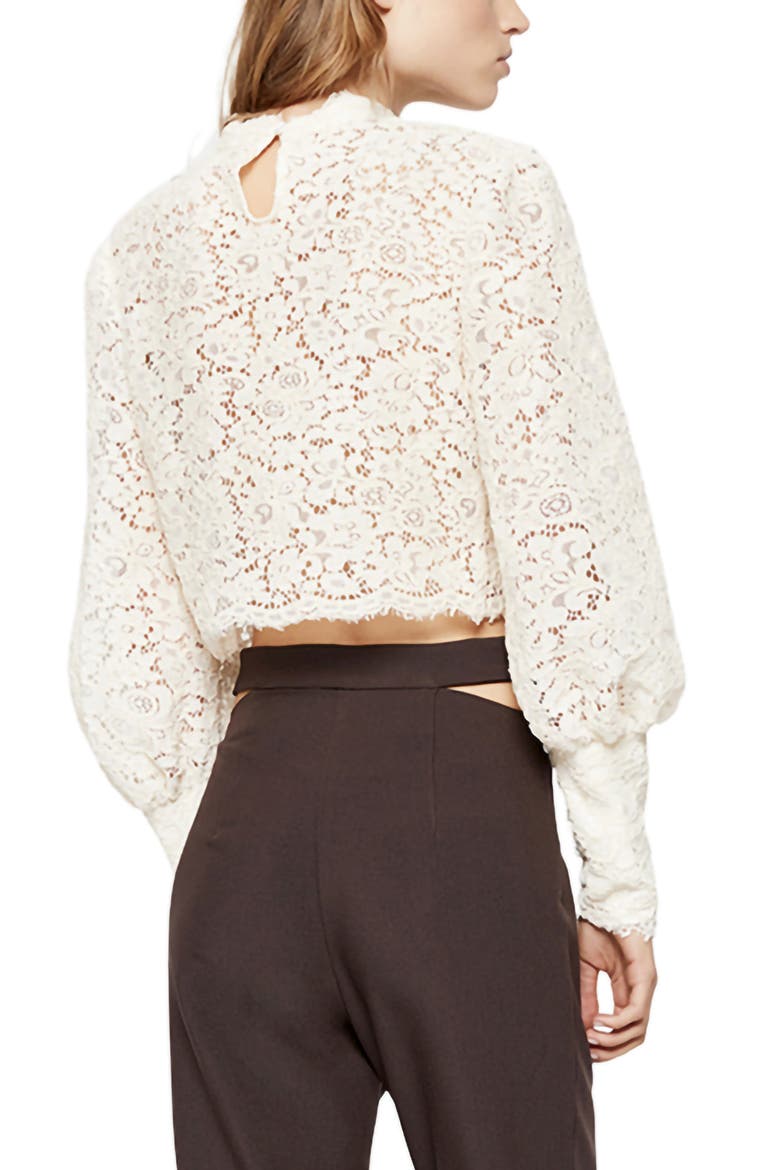 Georgia Embroidered Lace Top, Alternate, color, OYSTER