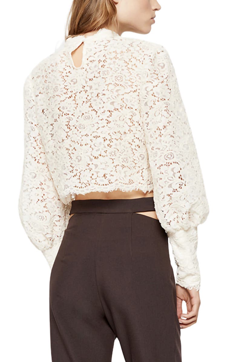 Bardot Georgia Embroidered Lace Top, Alternate, color, 
