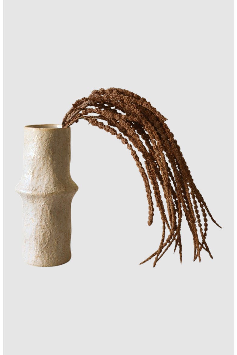 Light Brown Amaranthus Caudatus Dreadlocks Flower, Main, color, Light Brown