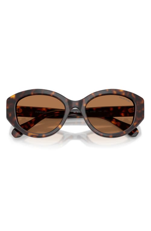 Swarovski 53mm Polarized Round Irregular Sunglasses In Brown