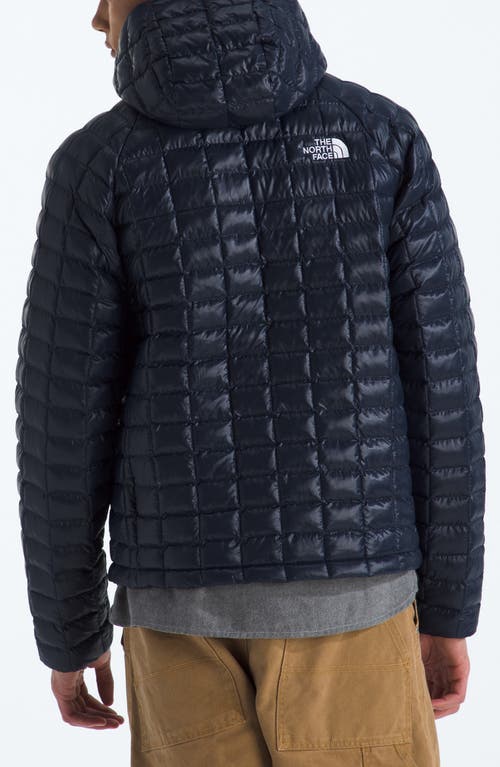 The North Face Thermoball Quilted Hooded Jacket In Blue