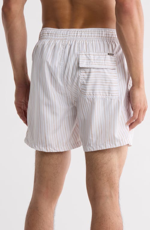 Vintage Summer Ponji Stripe Swim Trunks