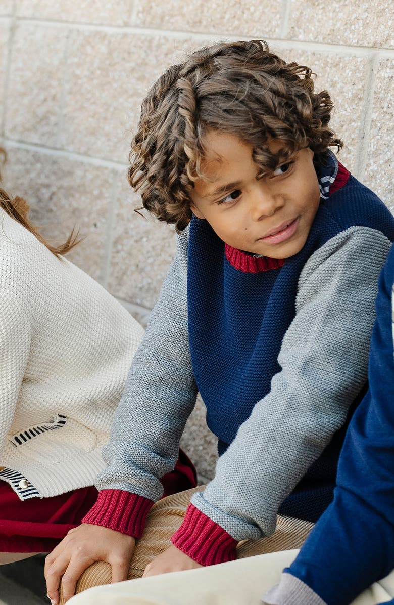 Hope & Henry Kids' Organic Long Sleeve Crewneck Pullover Sweater, Alternate, color, Navy And Dark Gray Heather