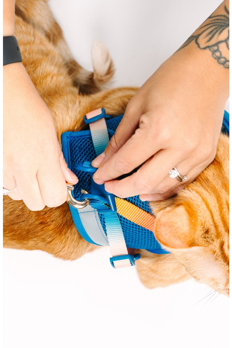 Atlas Cat Harness and Leash Set, Alternate, color, Atlas