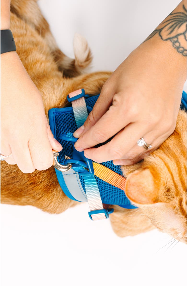 Pink Papyrus Atlas Cat Harness and Leash Set, Alternate, color, Atlas