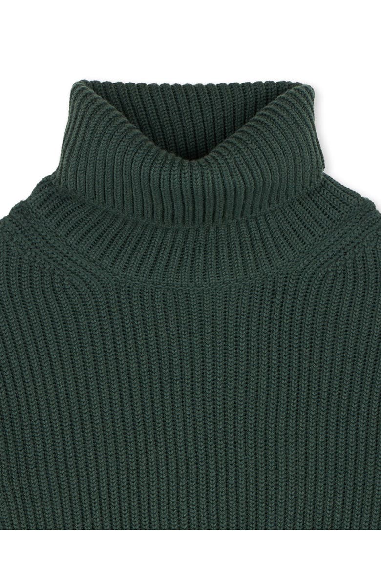 Fortela Leona High Neck Wool Sweater, Alternate, color,