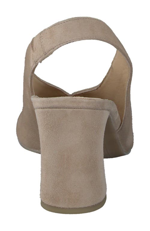 Paul Green Riviera Slingback Sandal In Champagne Suede
