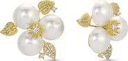 EYE CANDY LOS ANGELES Eva Cubic Zirconia Stud Earrings