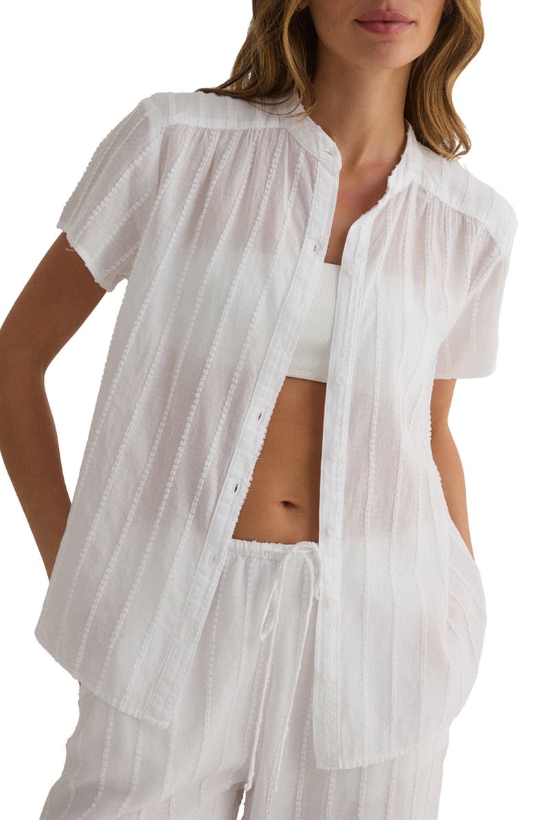 Bella Dahl Embroidered Stripe Cotton Button-Up Shirt, Main, color,