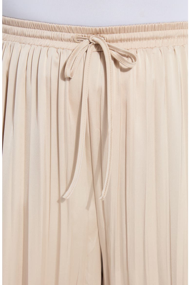 The Packable Pleated Wide Leg Satin Pants, Alternate, color, CHABLIS
