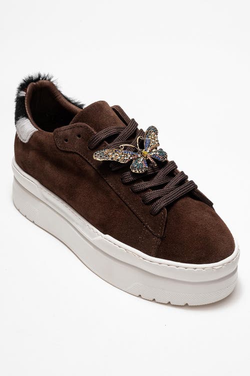 Forever & Always Shoes Anda Leather Buckled Sneakers In Brown