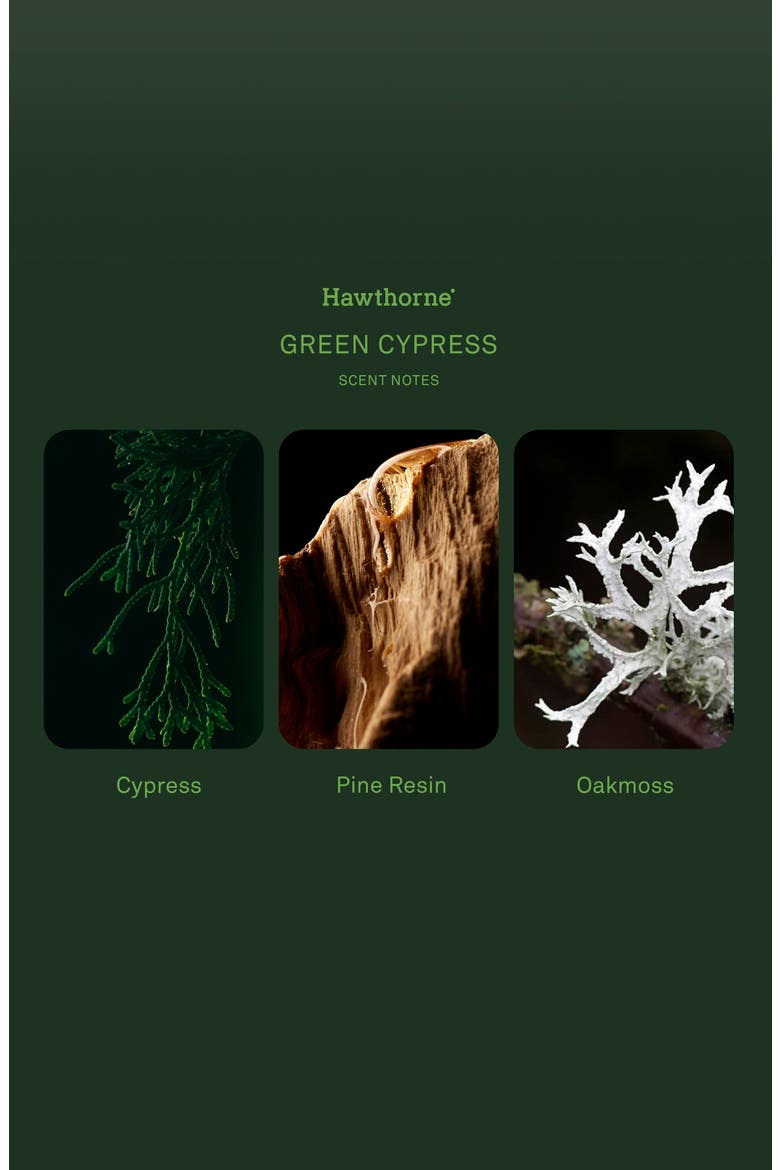 Green Cypress Eau de Parfum, Alternate, color, GREEN