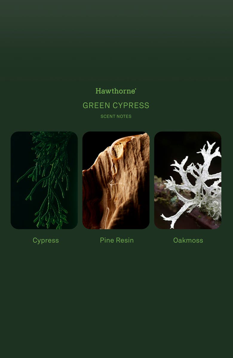 Hawthorne Green Cypress Eau de Parfum, Alternate, color, Green