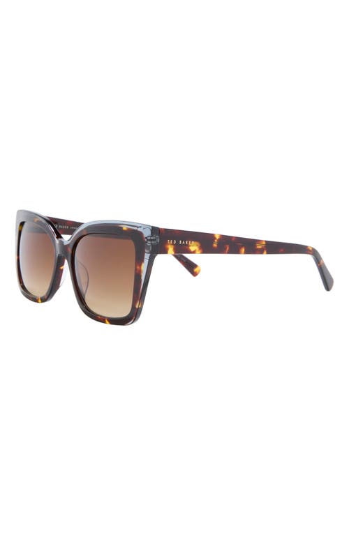 Ted Baker 55mm Cat Eye Sunglasses In Multi