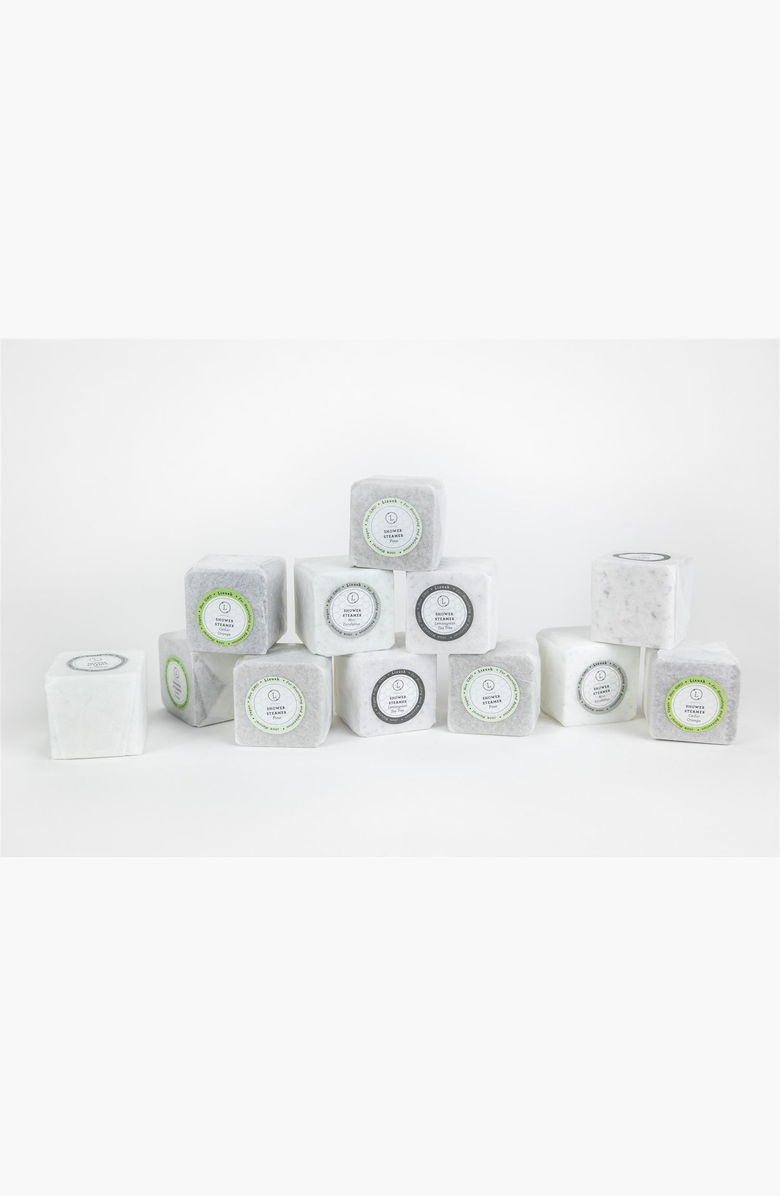 Lizush Earthy Shower Steamer Gift Box, Set of 5 Shower Steamers, Alternate, color, NO COLOR