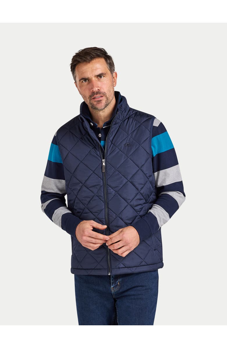 Raging Bull Quilted Gilet, Alternate, color, Navy