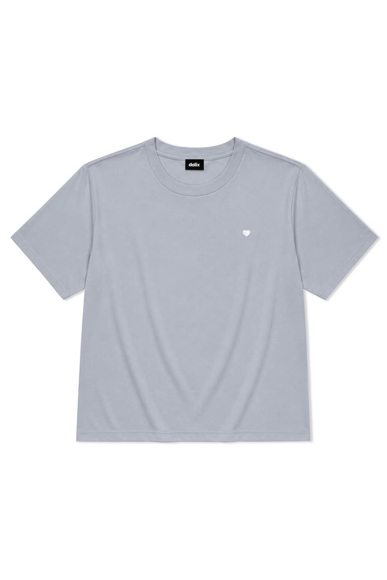 Lil Heart Relaxed Midweight Jersey Tee, Main, color, Powder