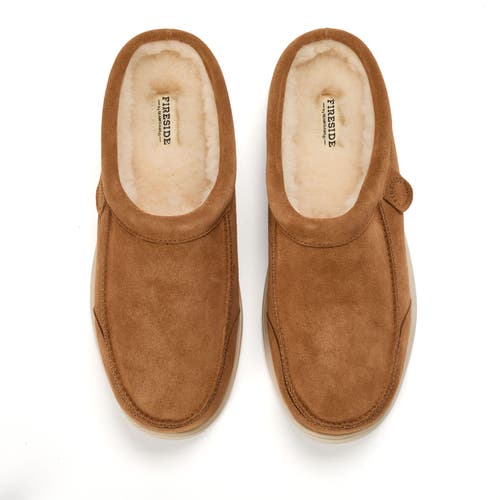 Dearfoams Lithgow Genuine Shearling Clog In Brown
