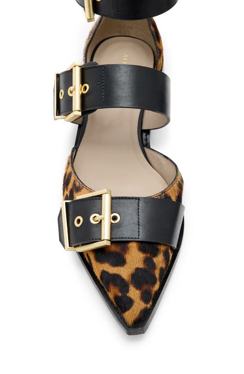 ALLSAINTS ALLSAINTS SUTTON ANKLE STRAP POINTED TOE FLAT