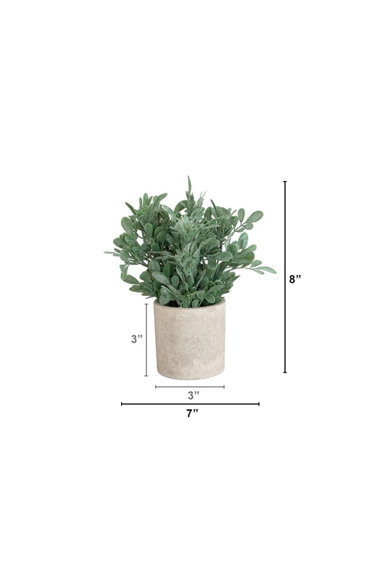8-in Artificial Boxwood in Decorative Planter - Set of 2, Alternate, color, Green