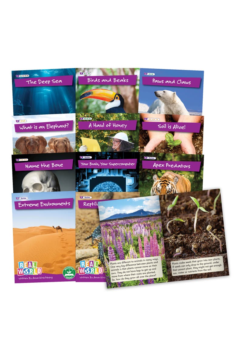 Real World Phase 5 Hilo Decodable Books, Main, color, Multicolored