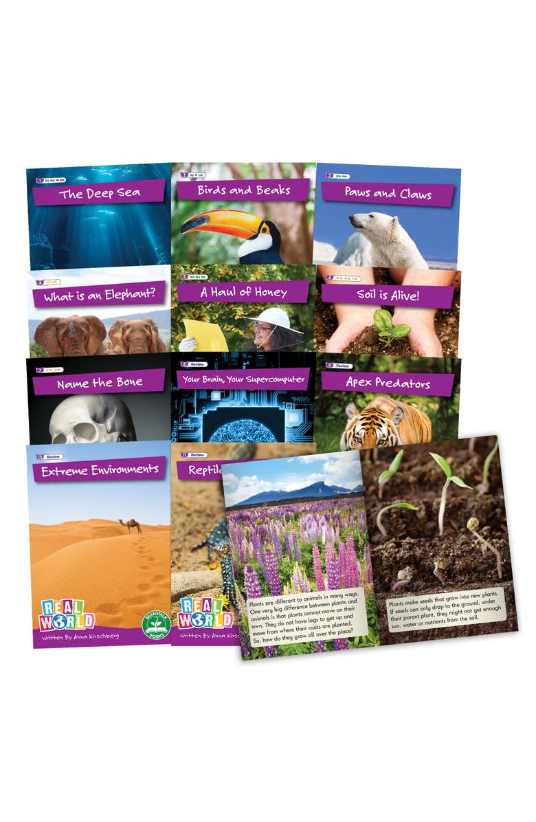 Junior Learning Real World Phase 5 Hilo Decodable Books, Main, color, Multicolored