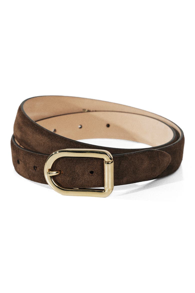 Mija Suede Belt, Alternate, color, CHOCOLATE/ GOLD