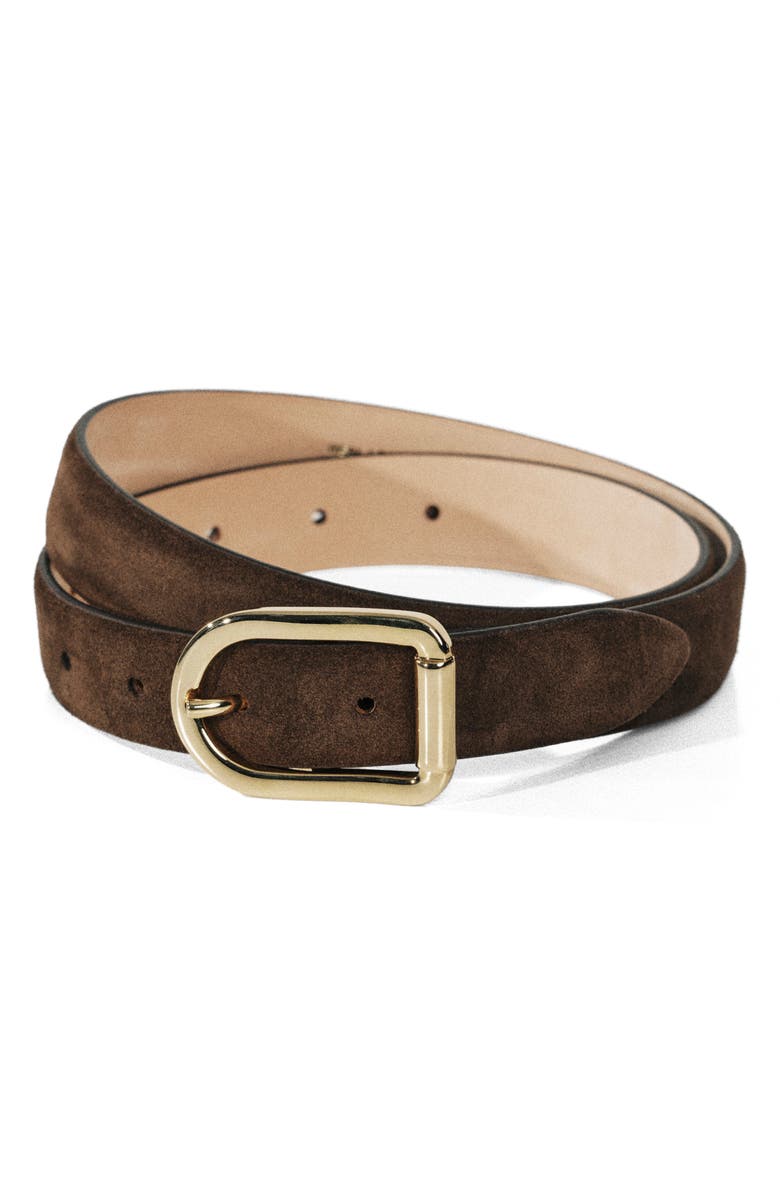 Déhanche Mija Suede Belt, Alternate, color, Chocolate/ Gold
