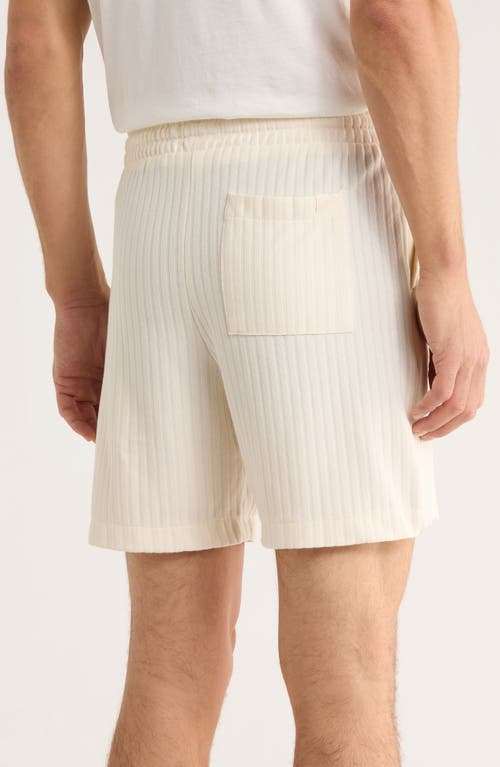 Denim And Flower Vertical Stripe Shorts In White