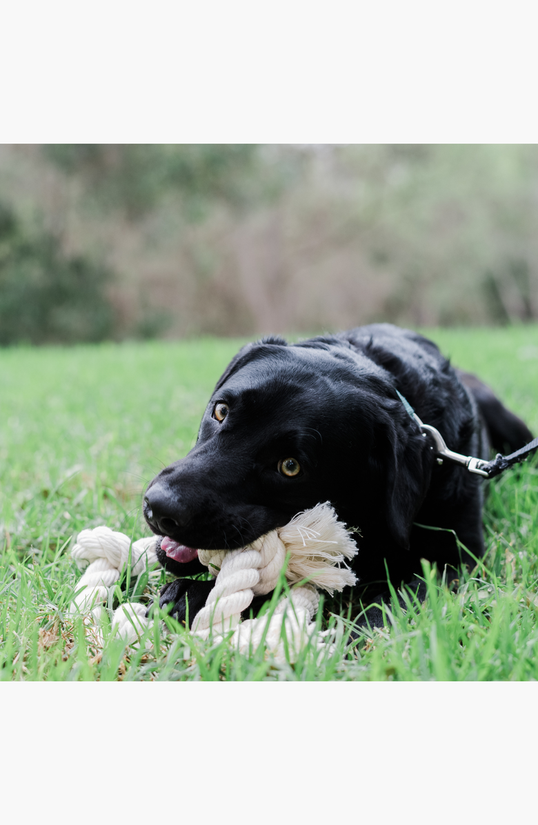 The Kind Pet 100% Organic Cotton Rope Dog Toy, Alternate, color, 5/8" X 7" / 2 Knots