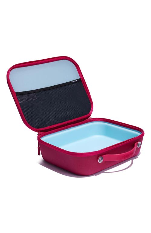 Hydro Flask Large Insulated Lunch Box In Snapper