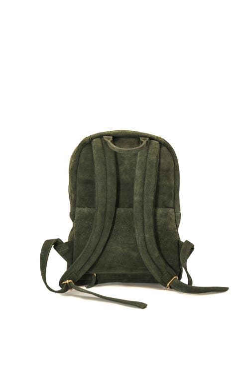Sabandija Duke Suede Backpack In Green