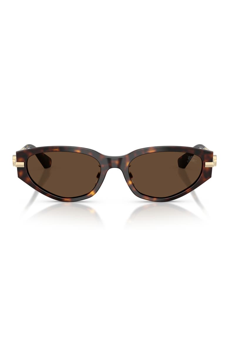 56mm Irregular Sunglasses, Main, color, DARK HAVANA / DARK BROWN
