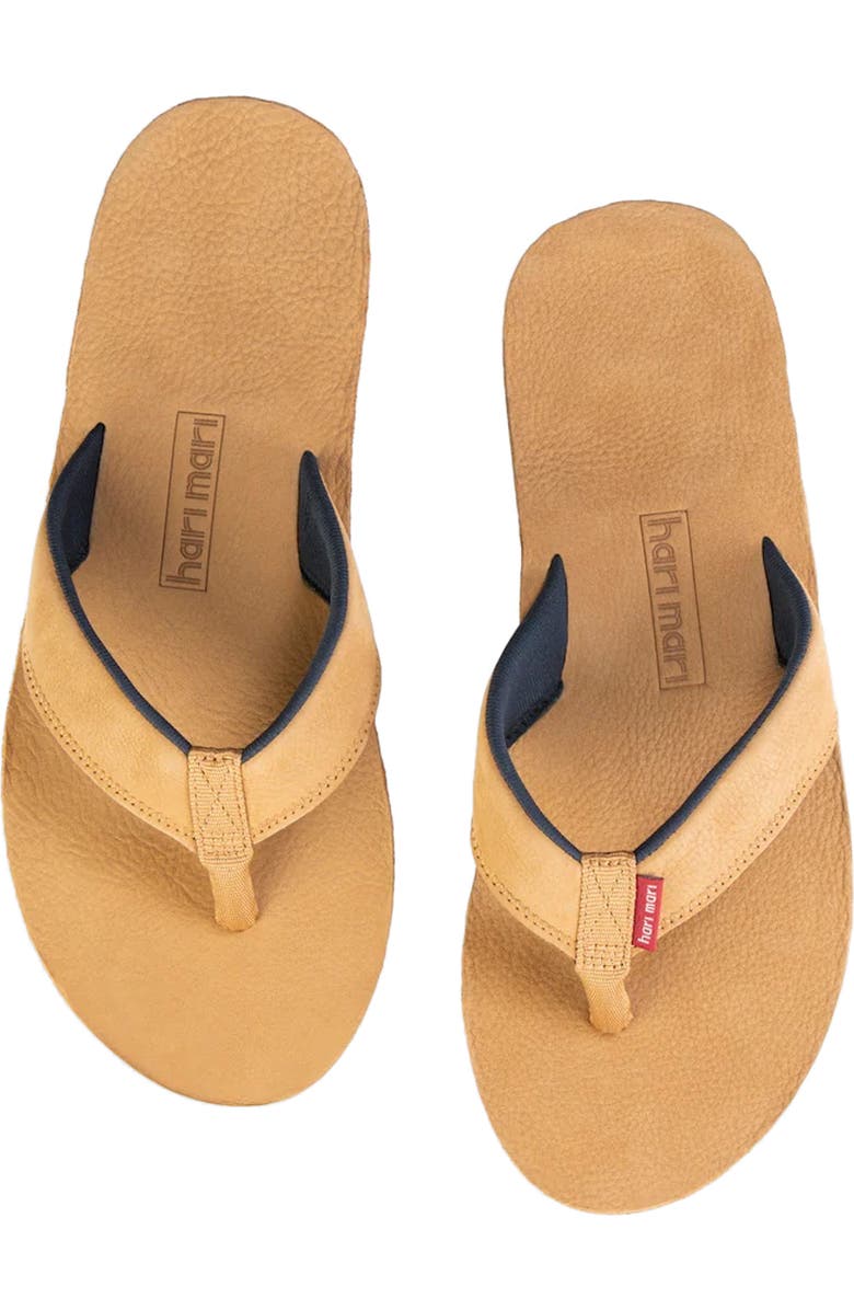hari mari Pier II Leather Flip Flop, Alternate, color,