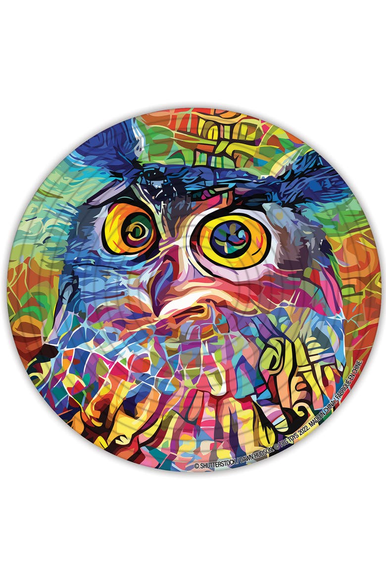 Puzzle Abstract 2L 14 Rings 2In1, 8+, Alternate, color, Multicolored