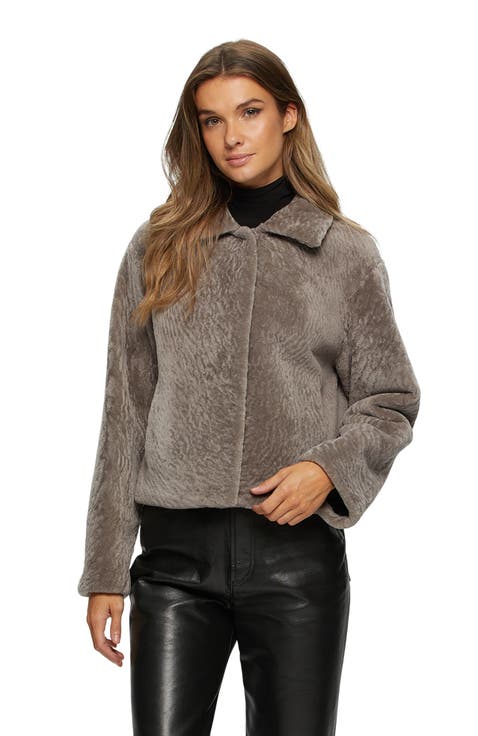 Textured Shearling Lamb Short Jacket