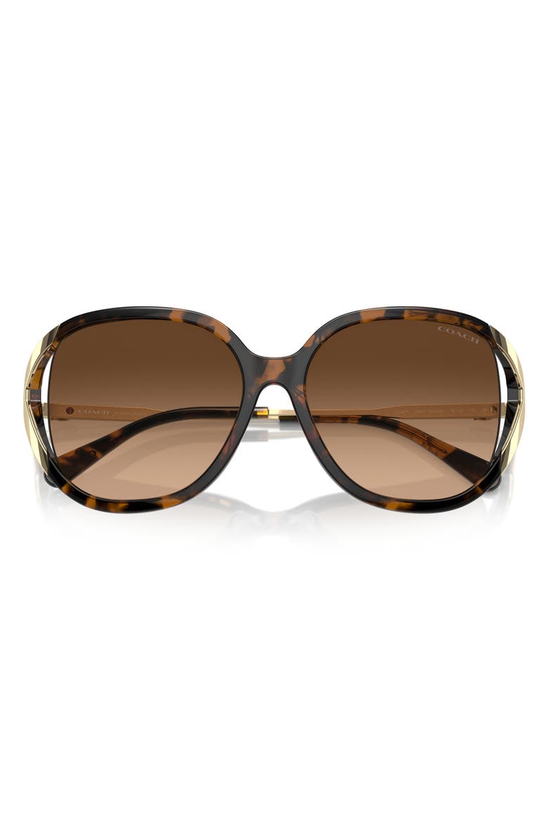COACH 56mm Gradient Square Sunglasses, Main, color, Dark Tortoise