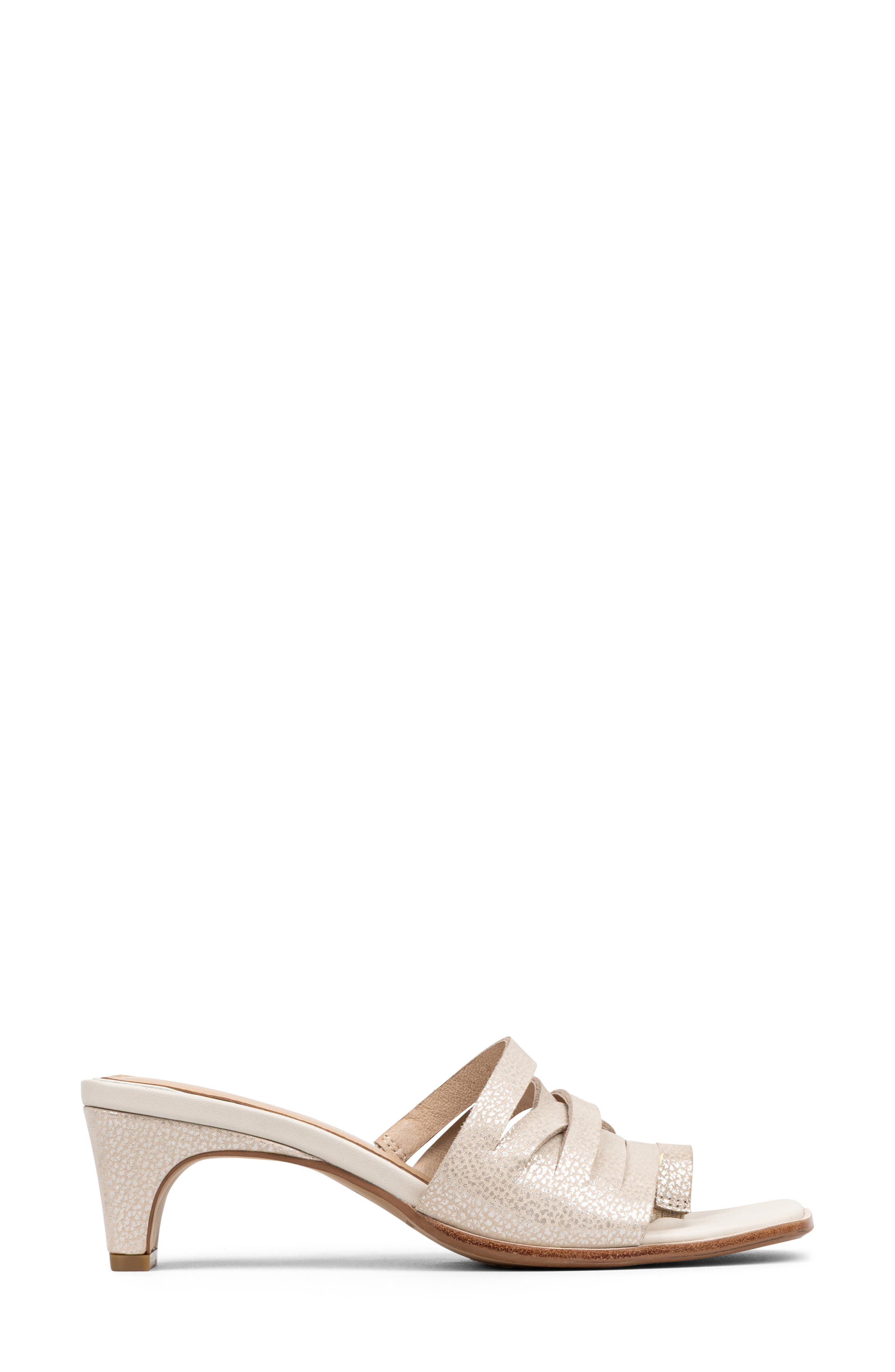 Donald Pliner Dayvi Toe Loop Sandal, Alternate, color, Silver