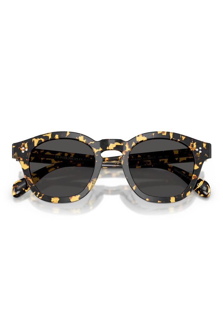 Boudreau La 48mm Round Sunglasses, Alternate, color, TOKYO TORTOISE / GREY