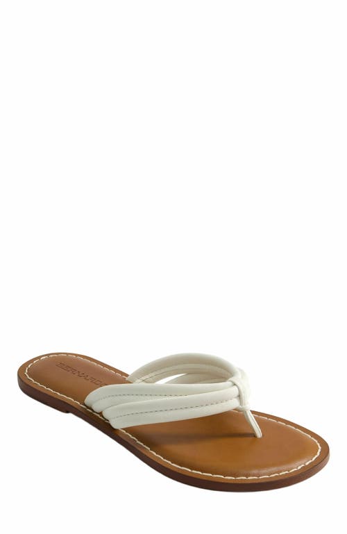 BERNARDO FOOTWEAR BERNARDO FOOTWEAR MIAMI THONG SANDAL 