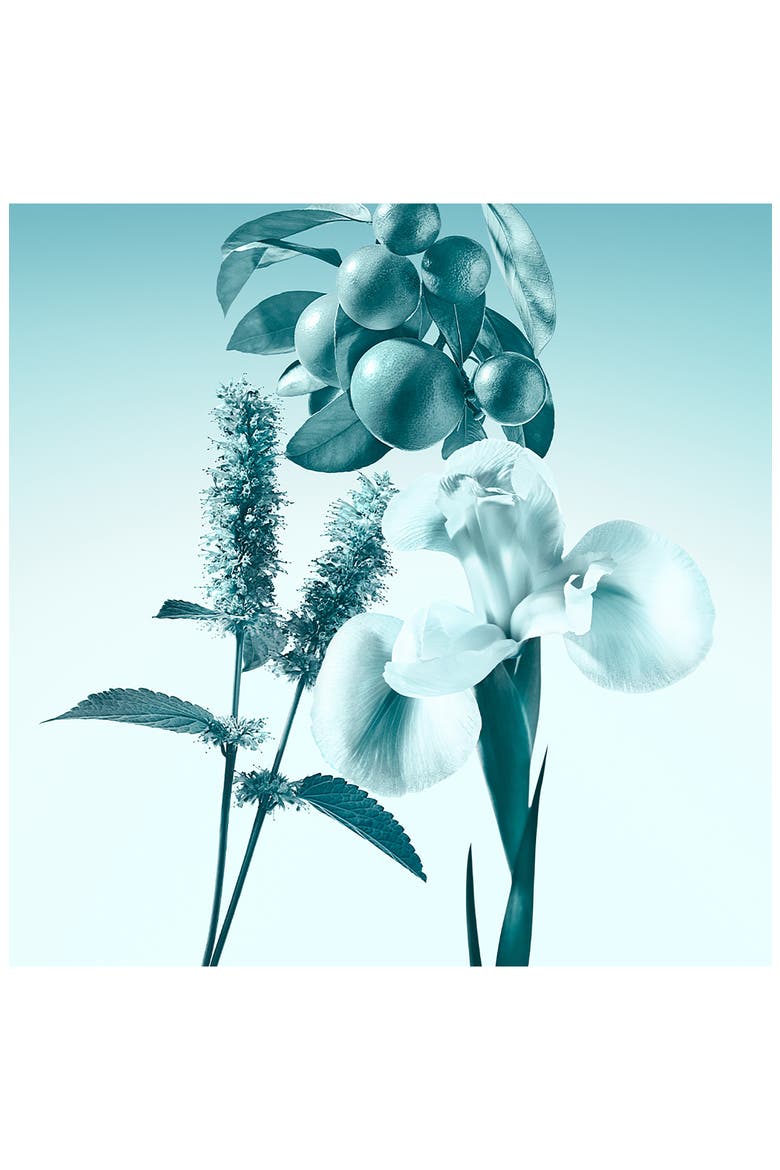 Eau de Parfum, Alternate, color, NO COLOR
