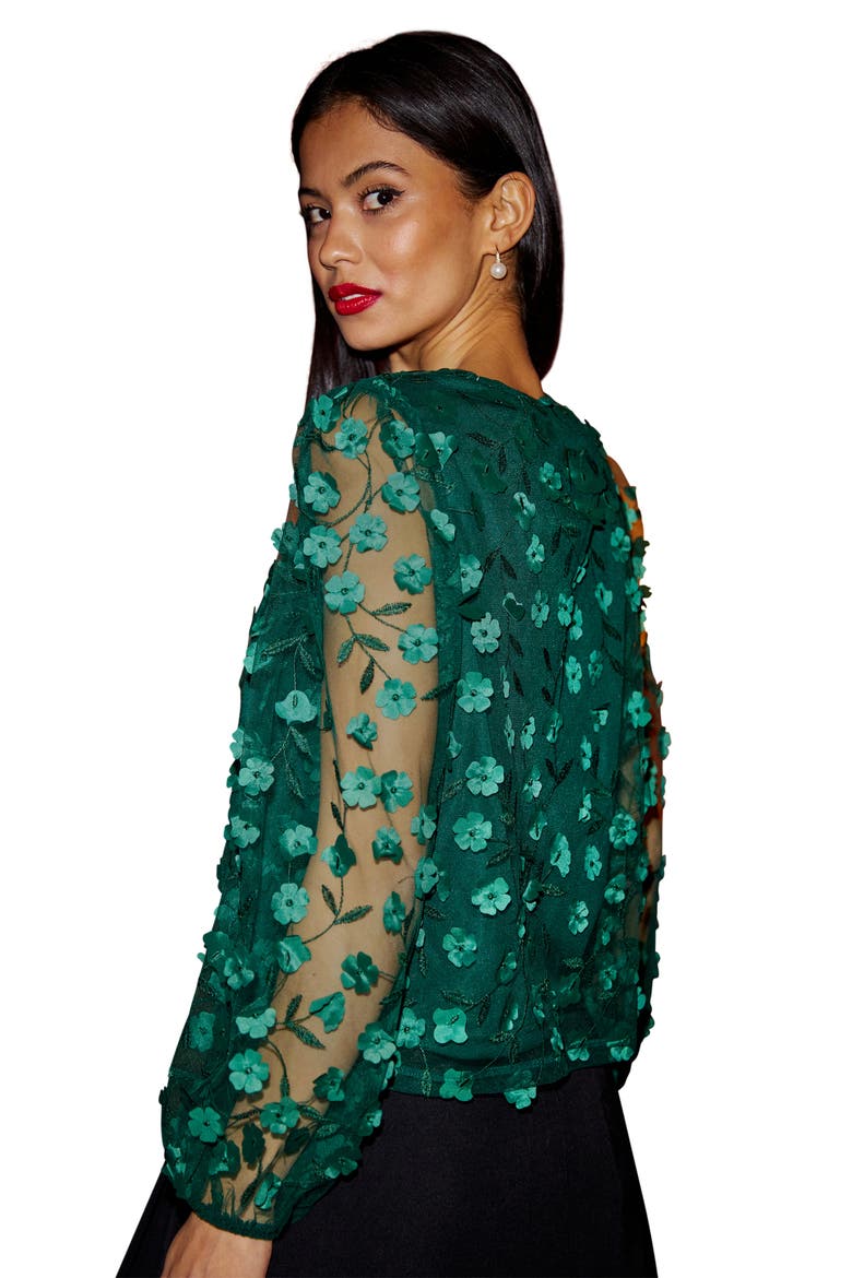 Long Sleeve Sheer Floral Top, Alternate, color, Green