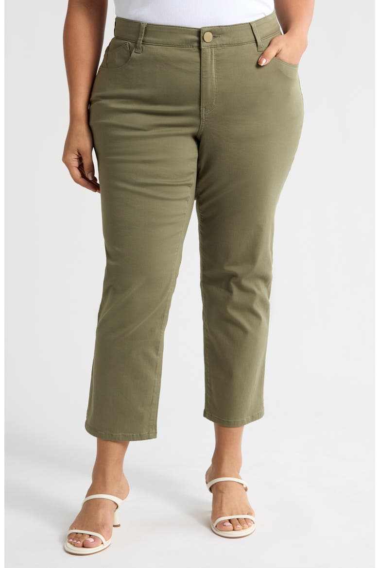 High Waist Ankle Straight Leg Pants, Main, color, LILY PAD