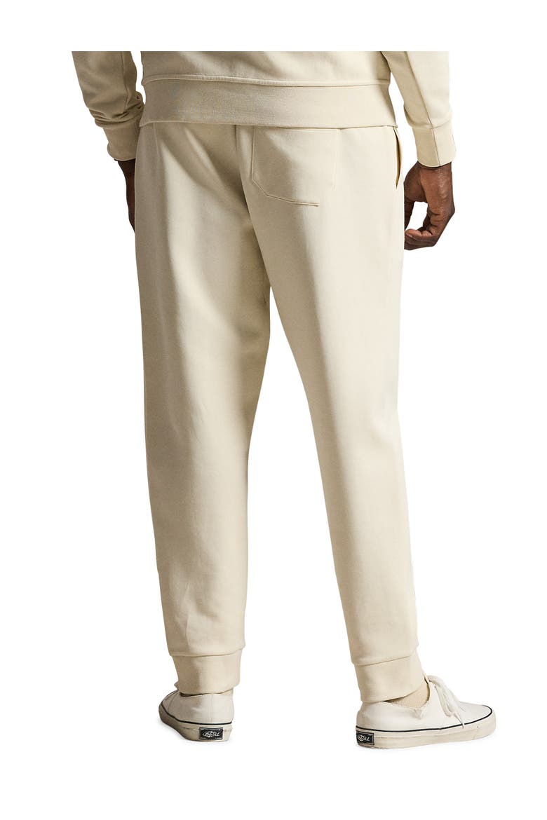 Big & Tall Double-Knit Tech Joggers, Alternate, color, GUIDE CREAM