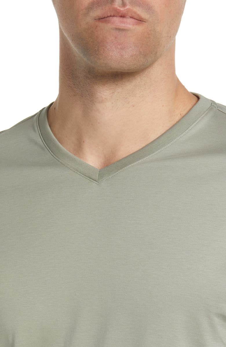 Robert Barakett Georgia Regular Fit V-Neck T-Shirt, Alternate, color, Dried Sage